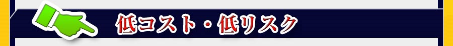 低コスト・低リスク