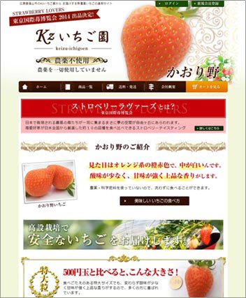 Kzいちご園 ECショップ